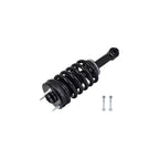 Suspension Strut and Coil Spring Assembly LS33-81591B
