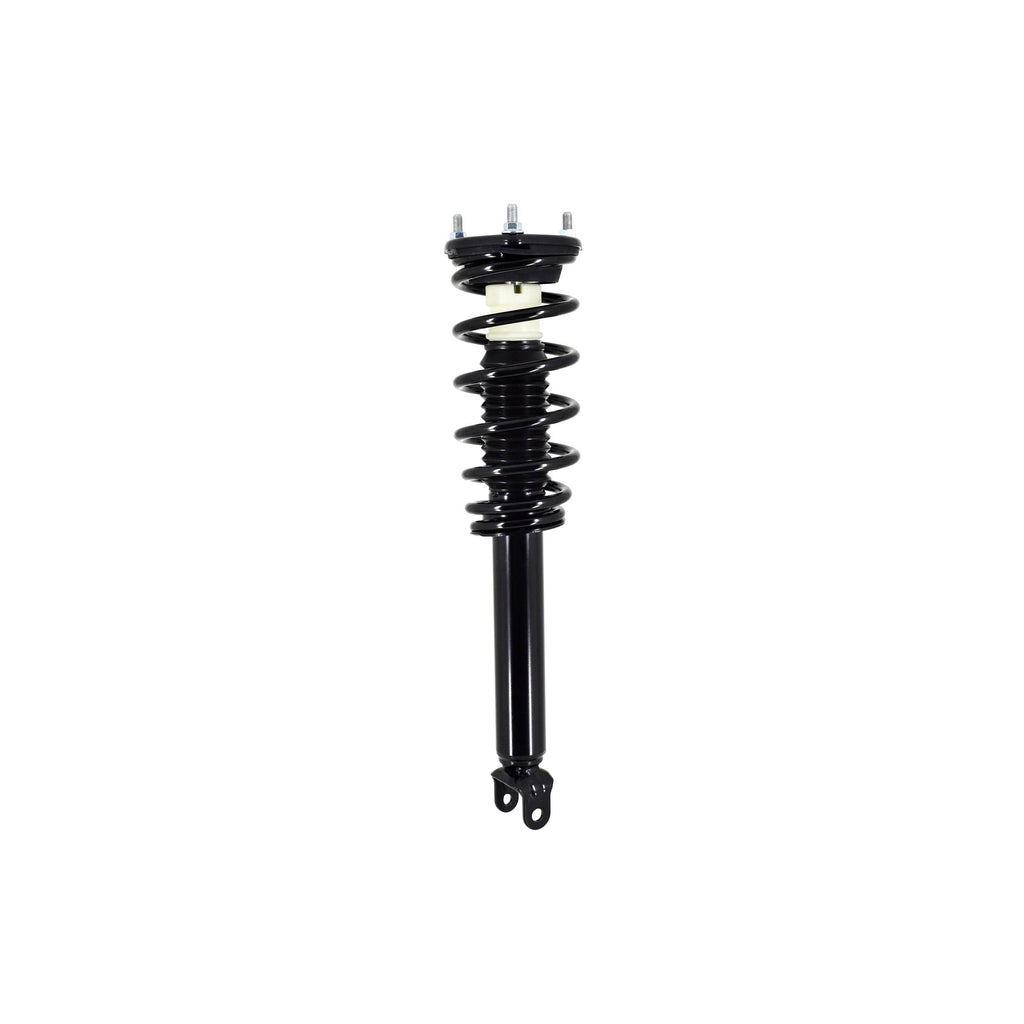 Suspension Strut and Coil Spring Assembly LS33-81601B