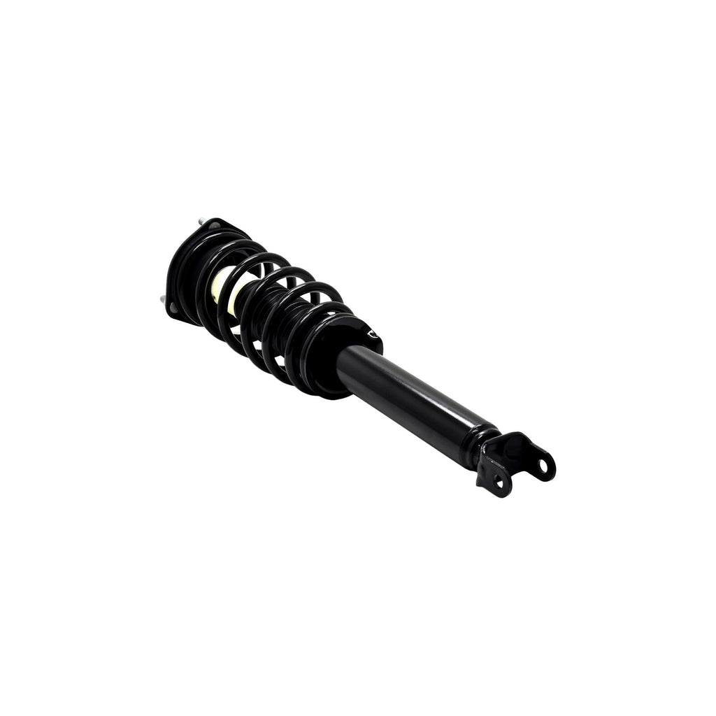 Suspension Strut and Coil Spring Assembly LS33-81601B
