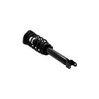 Suspension Strut and Coil Spring Assembly LS33-81601B