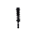 Loaded Strut and Coil Spring Assembly LS33-81612B