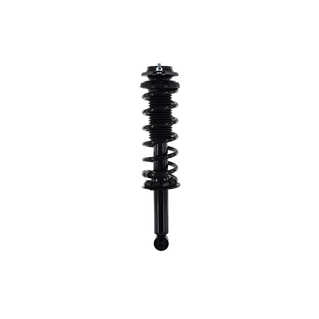 Loaded Strut and Coil Spring Assembly LS33-81612B