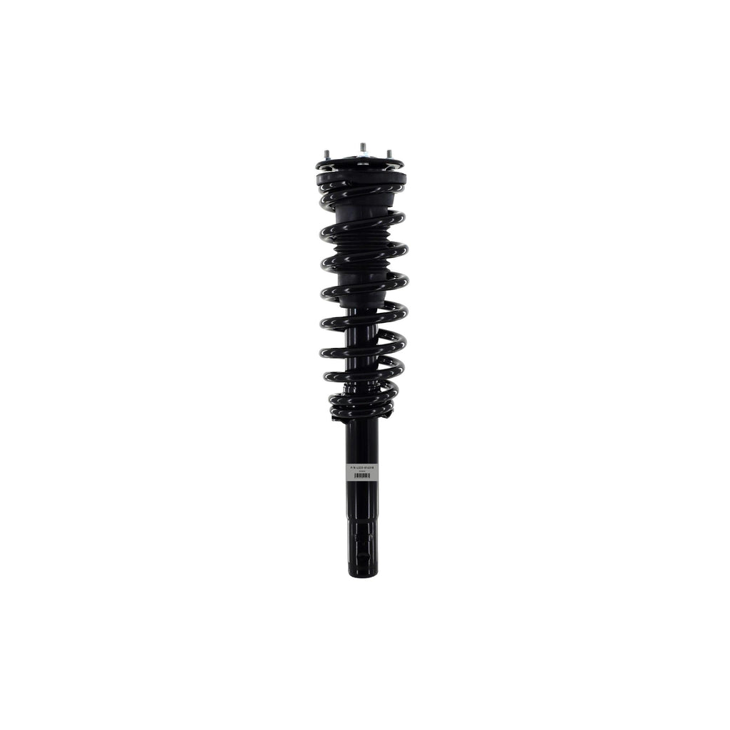 Suspension Strut and Coil Spring Assembly LS33-81631B