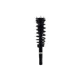 Suspension Strut and Coil Spring Assembly LS33-81631B