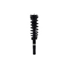 Suspension Strut and Coil Spring Assembly LS33-81631B