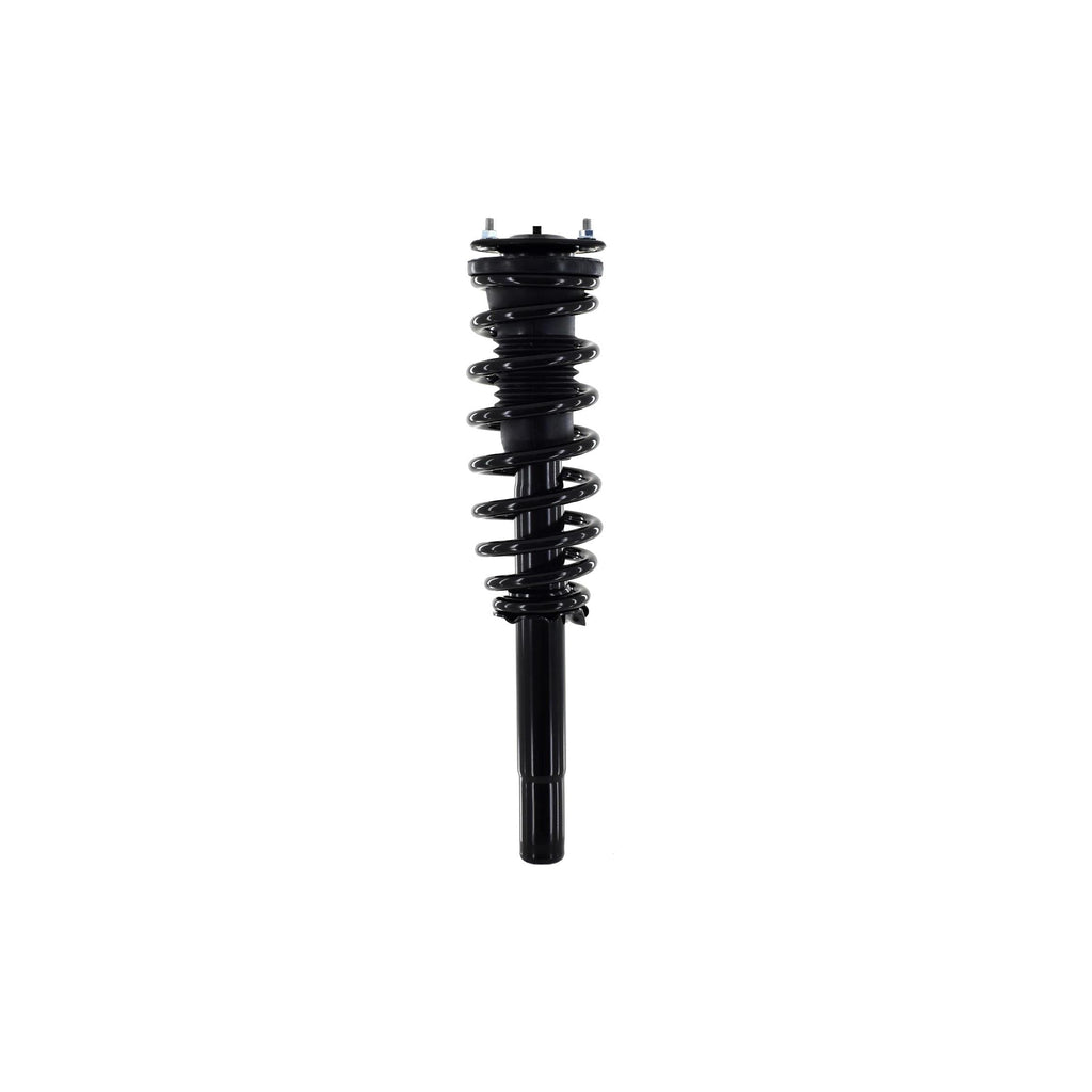 Suspension Strut and Coil Spring Assembly LS33-81631B