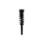 Suspension Strut and Coil Spring Assembly LS33-81631B