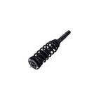 Suspension Strut and Coil Spring Assembly LS33-81631B