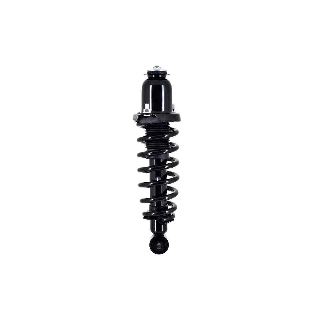 Loaded Strut and Coil Spring Assembly LS33-81692L
