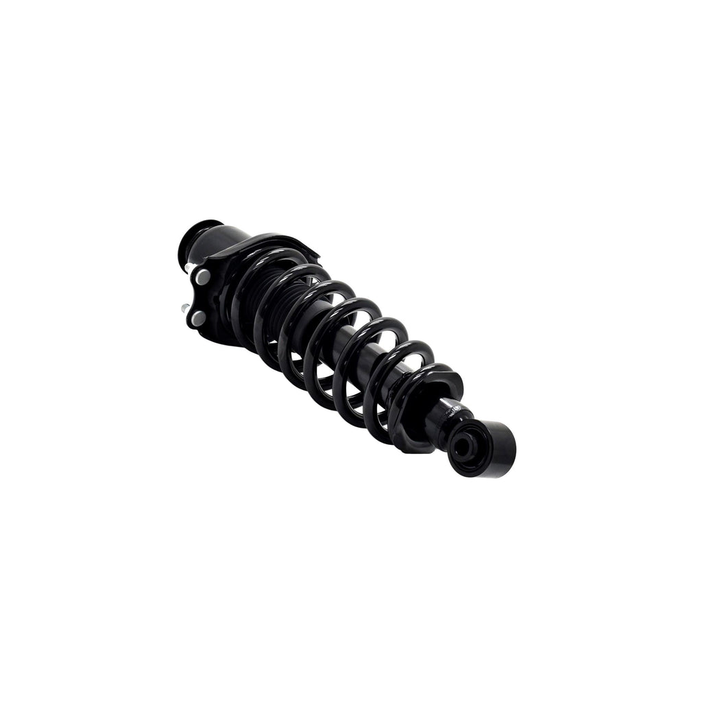Loaded Strut and Coil Spring Assembly LS33-81692L