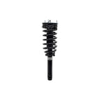 Suspension Strut and Coil Spring Assembly LS33-81711B