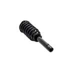 Suspension Strut and Coil Spring Assembly LS33-81711B