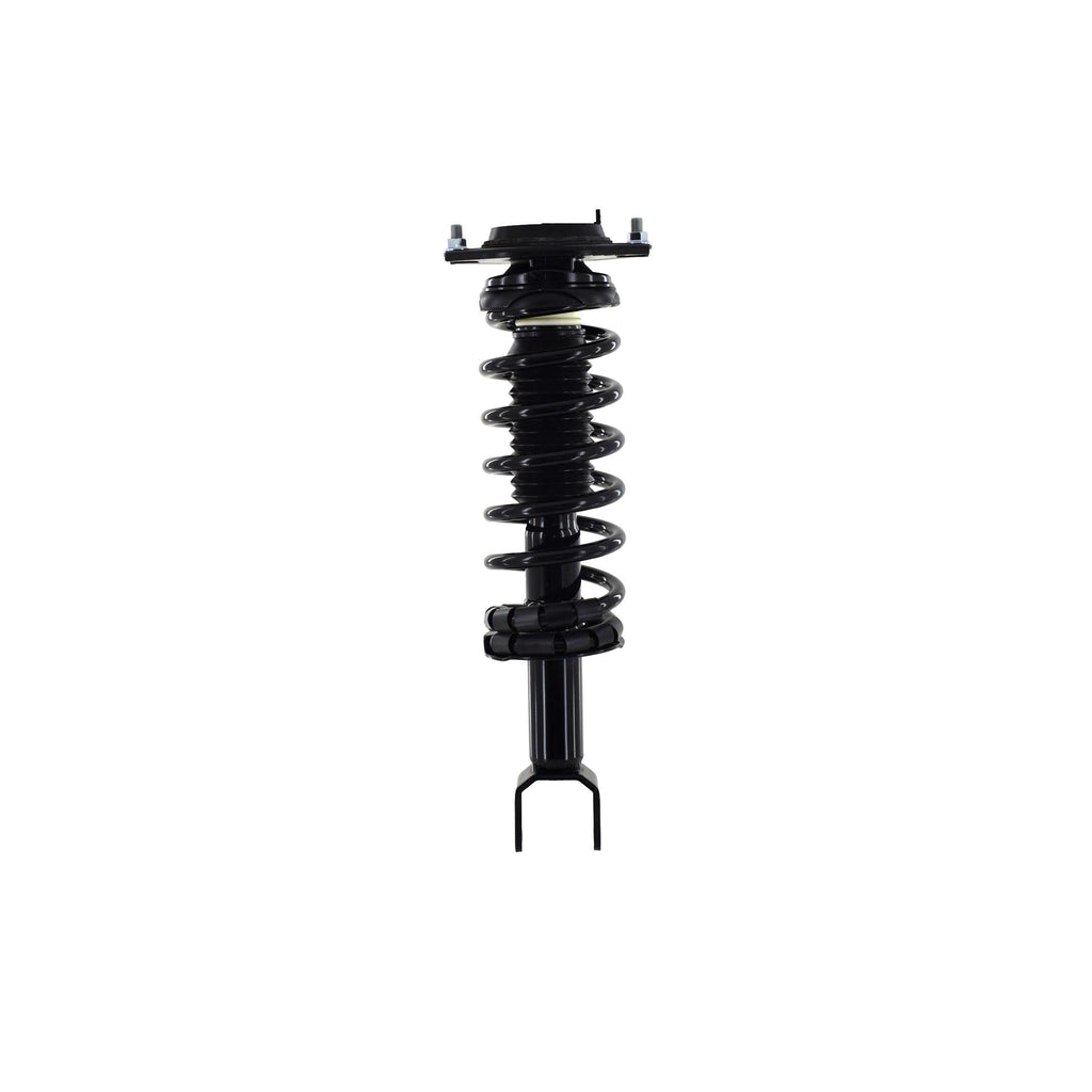 Loaded Strut and Coil Spring Assembly LS33-81722B