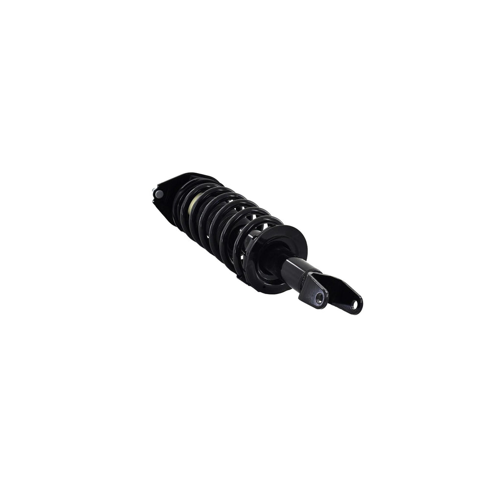 Loaded Strut and Coil Spring Assembly LS33-81722B