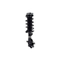 Suspension Strut and Coil Spring Assembly LS33-81731L