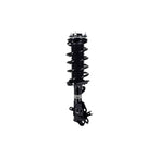 Suspension Strut and Coil Spring Assembly LS33-81731L