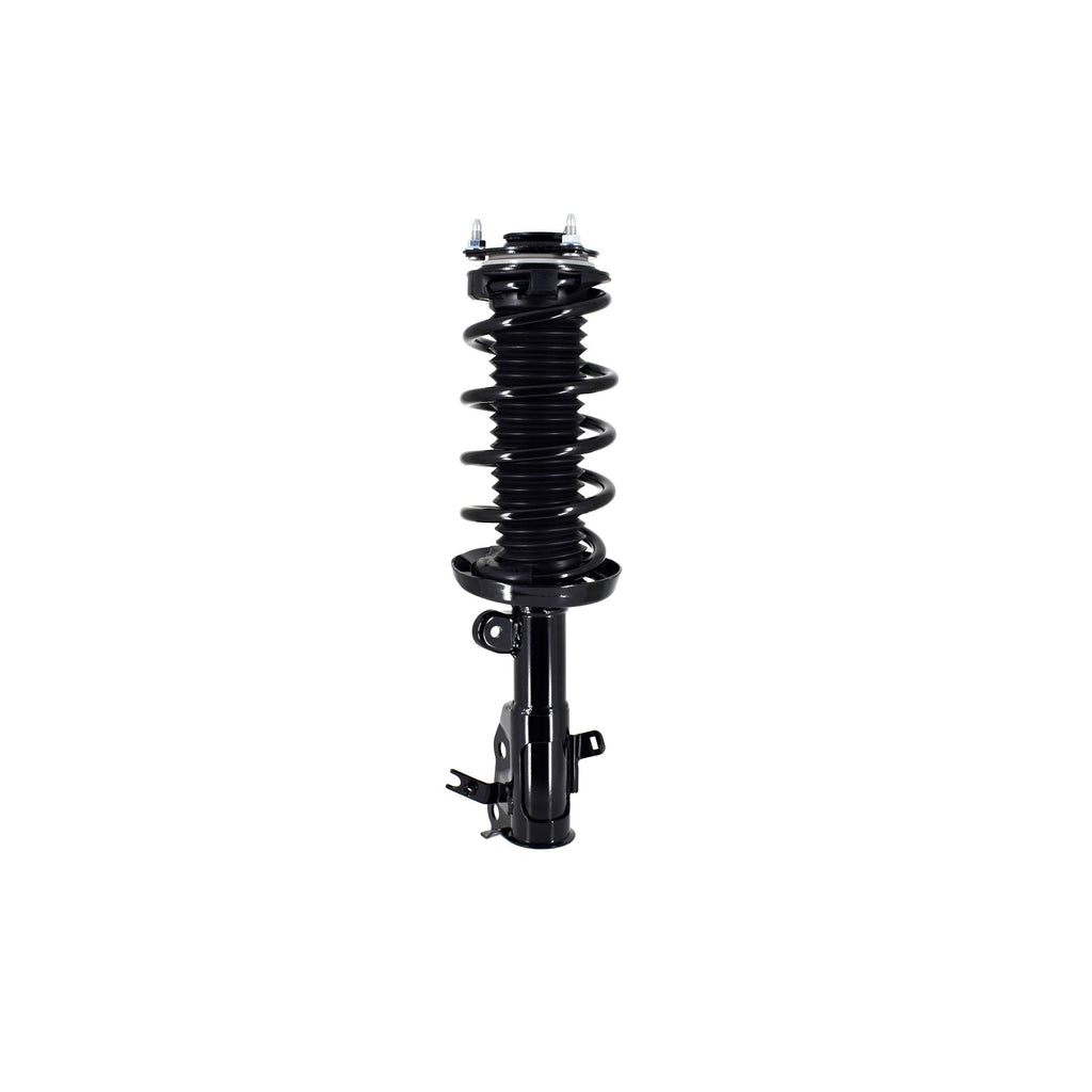 Suspension Strut and Coil Spring Assembly LS33-81731L