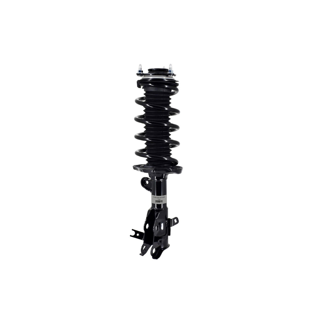 Suspension Strut and Coil Spring Assembly LS33-81731R