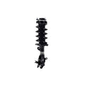 Suspension Strut and Coil Spring Assembly LS33-81731R
