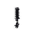 Suspension Strut and Coil Spring Assembly LS33-81731R
