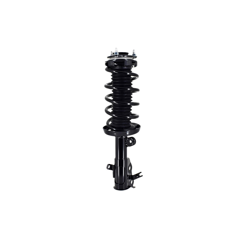 Suspension Strut and Coil Spring Assembly LS33-81731R