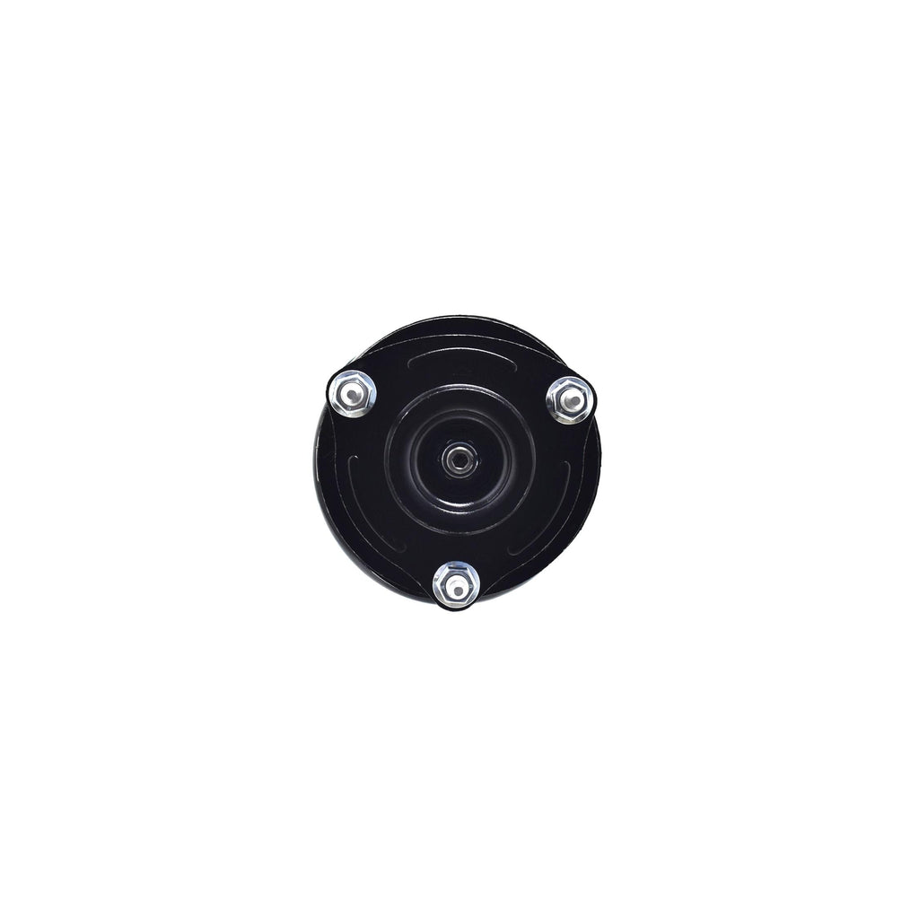 Suspension Strut and Coil Spring Assembly LS33-81731R
