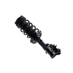 Suspension Strut and Coil Spring Assembly LS33-81731R