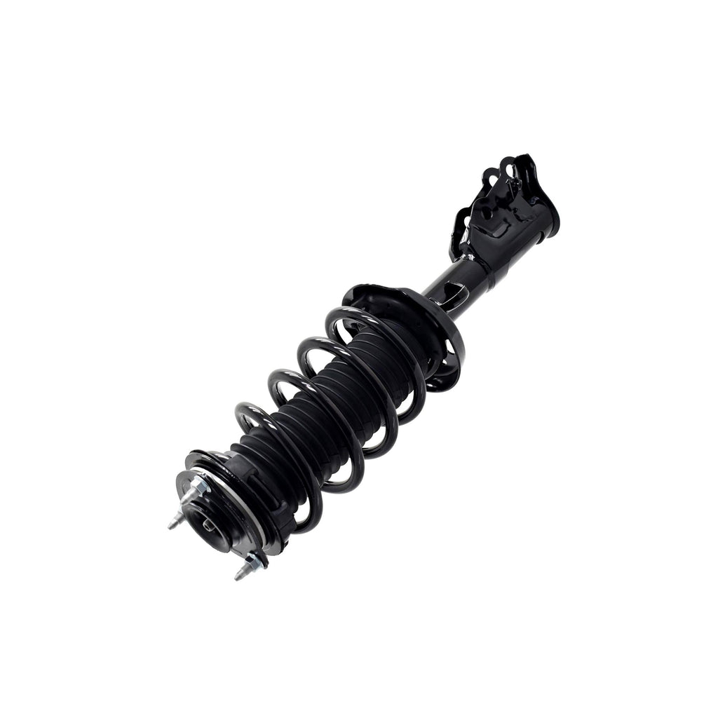 Suspension Strut and Coil Spring Assembly LS33-81731R