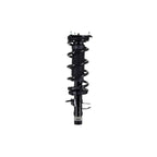 Suspension Strut and Coil Spring Assembly LS33-81741L