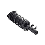 Suspension Strut and Coil Spring Assembly LS33-81741L