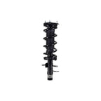 Suspension Strut and Coil Spring Assembly LS33-81741R