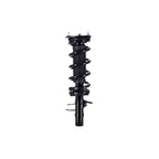 Suspension Strut and Coil Spring Assembly LS33-81741R