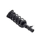 Suspension Strut and Coil Spring Assembly LS33-81741R