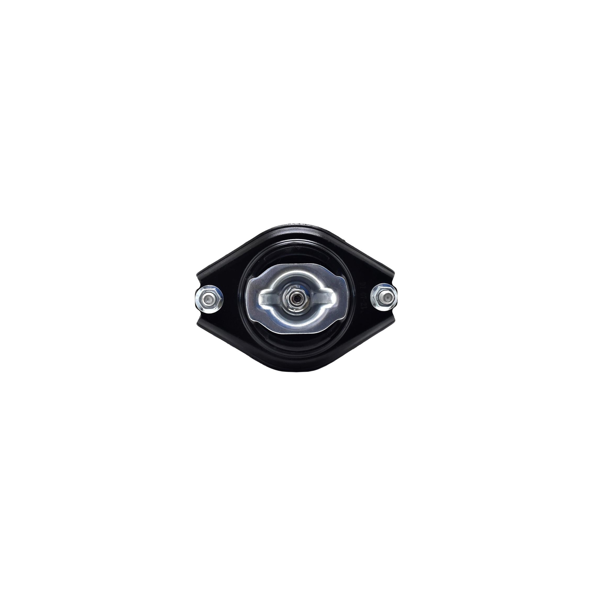 Loaded Strut and Coil Spring Assembly LS33-81752R