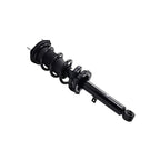 Suspension Strut and Coil Spring Assembly LS33-81781L