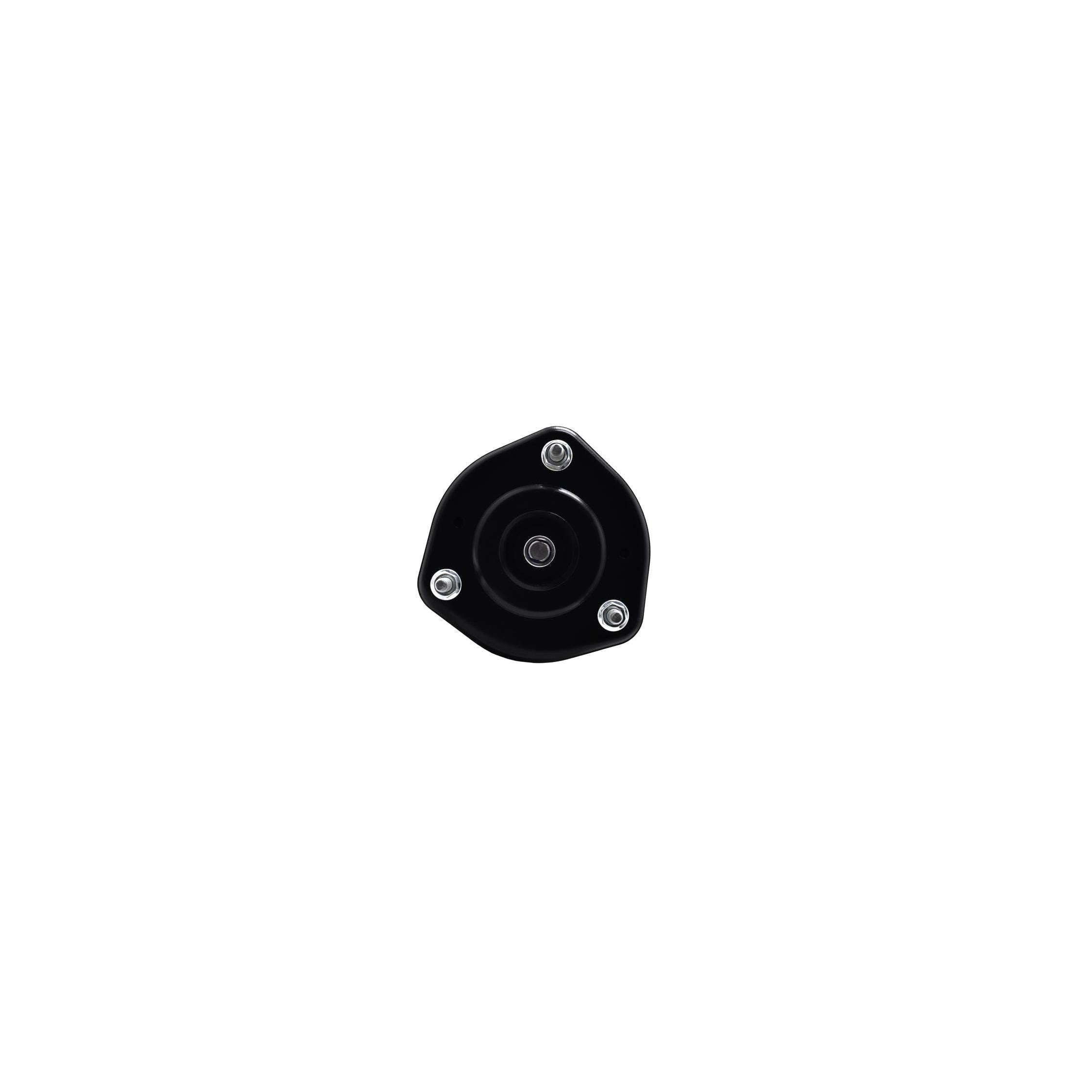 Suspension Strut and Coil Spring Assembly LS33-81781R