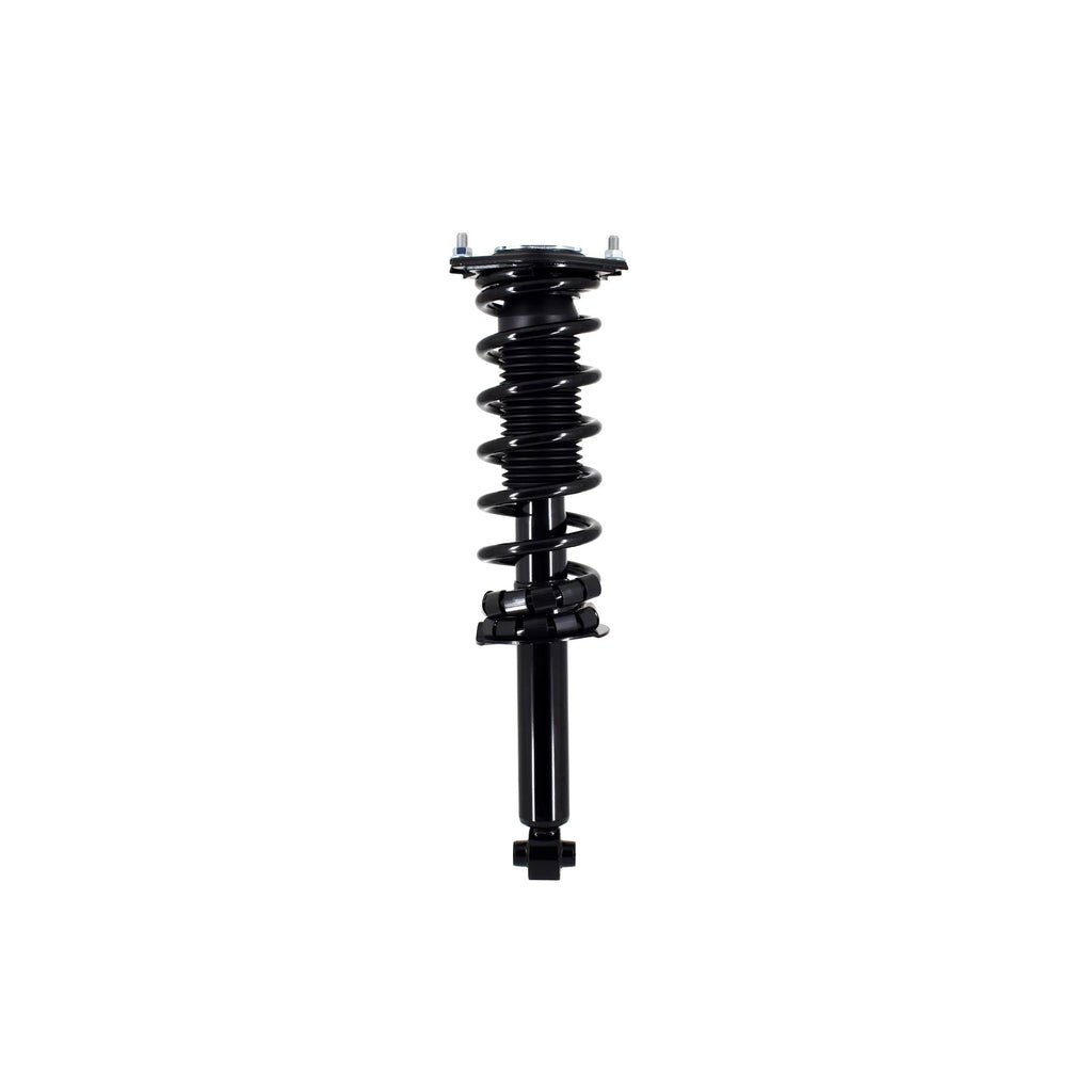 Loaded Strut and Coil Spring Assembly LS33-81802L