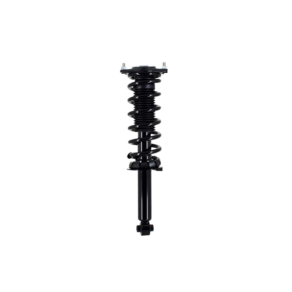 Loaded Strut and Coil Spring Assembly LS33-81802R