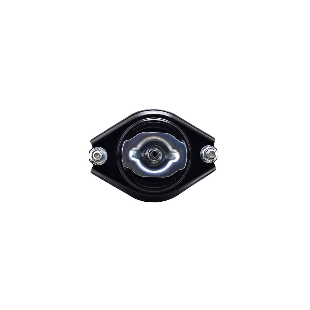 Loaded Strut and Coil Spring Assembly LS33-81802R