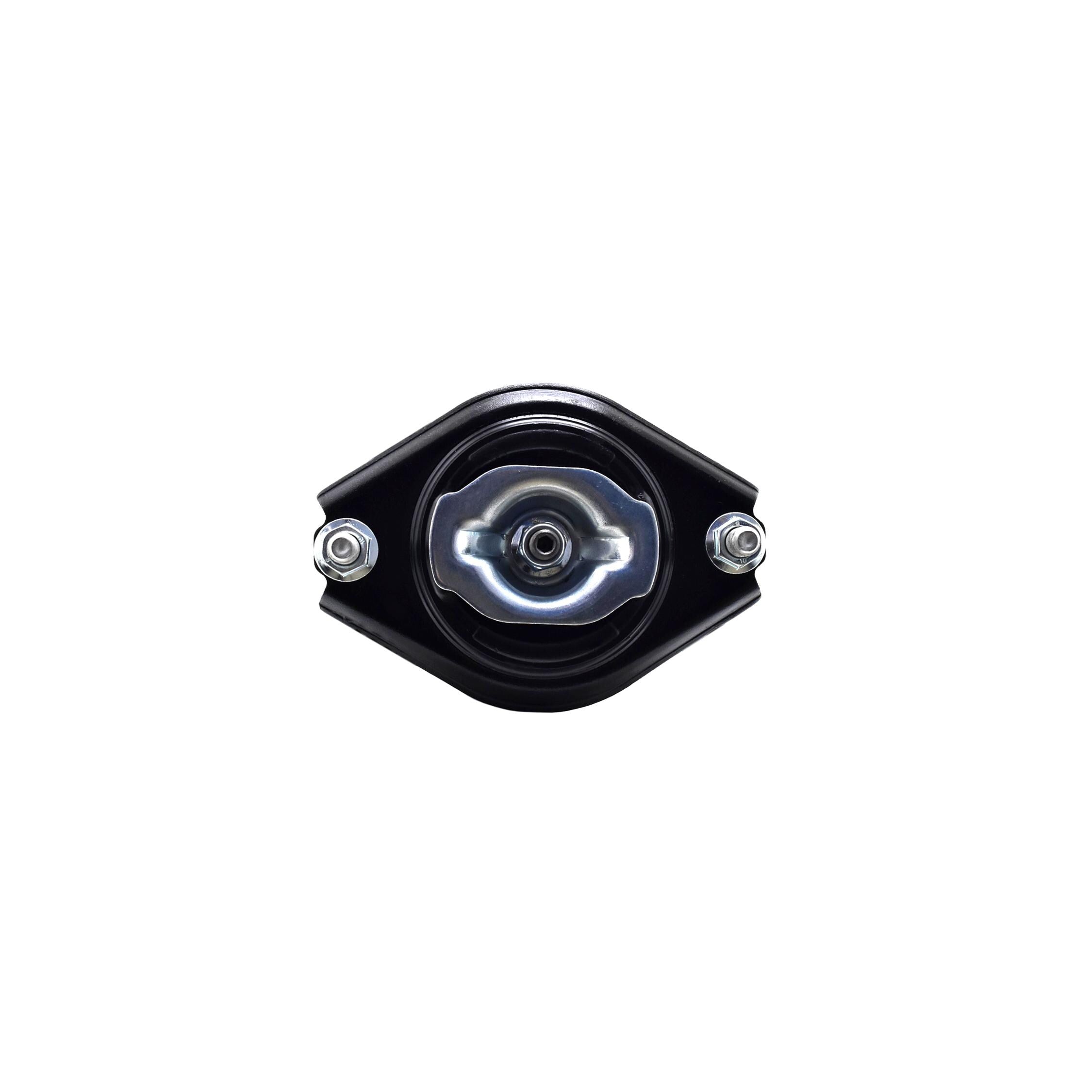 Loaded Strut and Coil Spring Assembly LS33-81802R