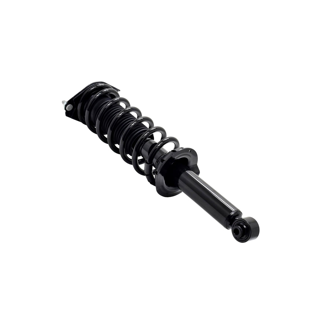 Loaded Strut and Coil Spring Assembly LS33-81802R