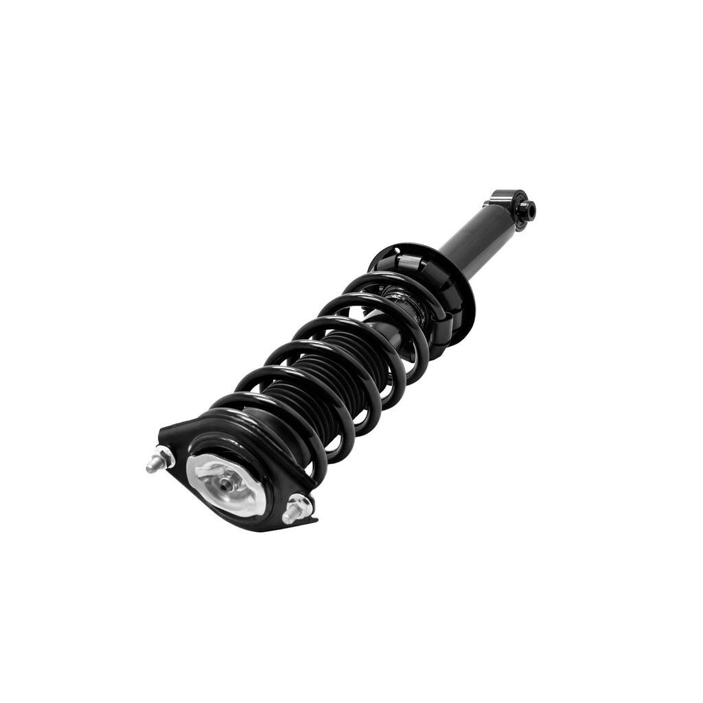 Loaded Strut and Coil Spring Assembly LS33-81802R