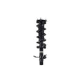 Suspension Strut and Coil Spring Assembly LS33-81831L