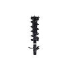 Suspension Strut and Coil Spring Assembly LS33-81831L