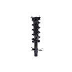Suspension Strut and Coil Spring Assembly LS33-81831L