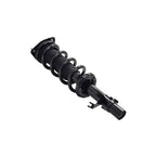 Suspension Strut and Coil Spring Assembly LS33-81831L