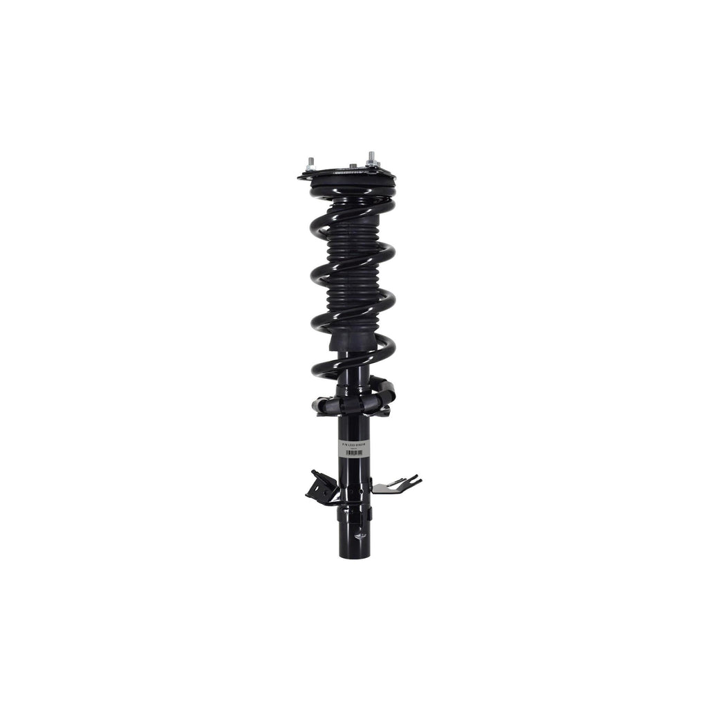 Suspension Strut and Coil Spring Assembly LS33-81831R