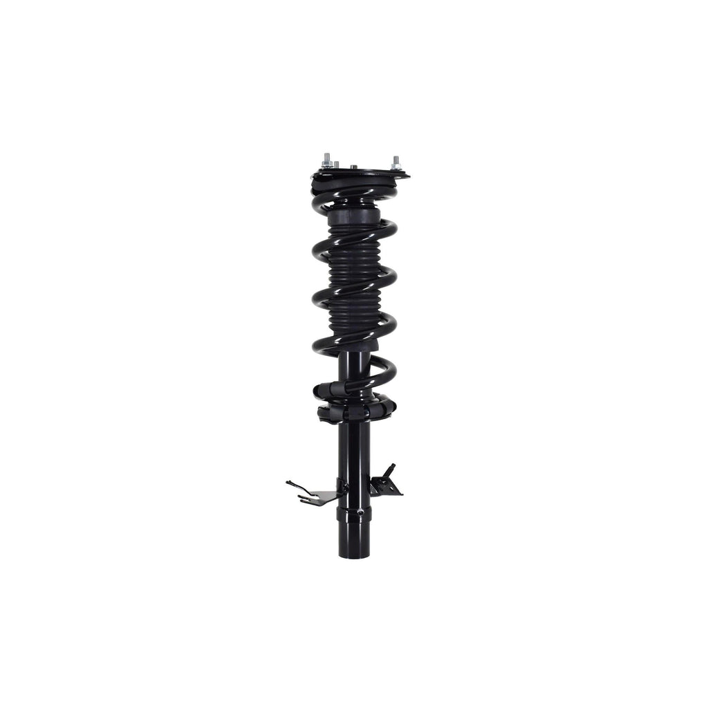Suspension Strut and Coil Spring Assembly LS33-81831R