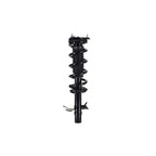 Suspension Strut and Coil Spring Assembly LS33-81831R