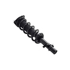 Suspension Strut and Coil Spring Assembly LS33-81831R